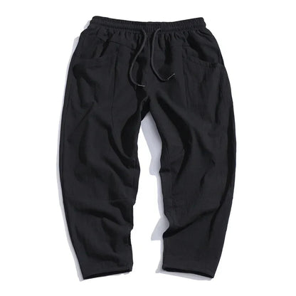 AKIRA CROPPED PANTS